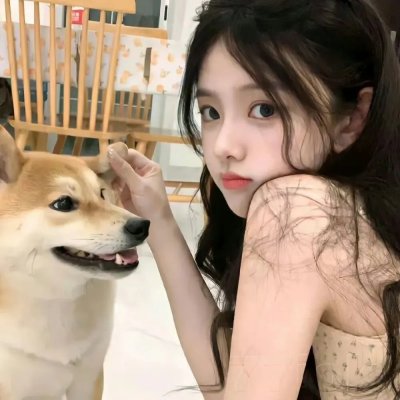 骚狐狸